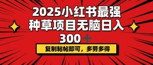 2025小红书最强种草项目，无脑日入300+，复制粘帖即可，多劳多得-皮皮网创