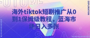 海外tiktok短剧推广从0到1保姆级教程,蓝海市场日入多张-皮皮网创