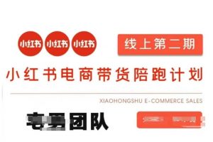 小红书电商带货课2期，月利润20个的小红书电商的有货源，无货源，虚拟产品，付费投流等整套玩法-皮皮网创