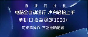 2025直播间最新玩法单机日入1000+ 全自动运行 可矩阵操作-皮皮网创