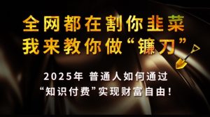 全网都在割你韭菜，我来教你做镰刀,2025普通人如何通过知识付费，实现财F自由【揭秘】-皮皮网创