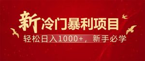 项目名称:每天一小时,轻松到手1000,冷门赚钱项目!-皮皮网创