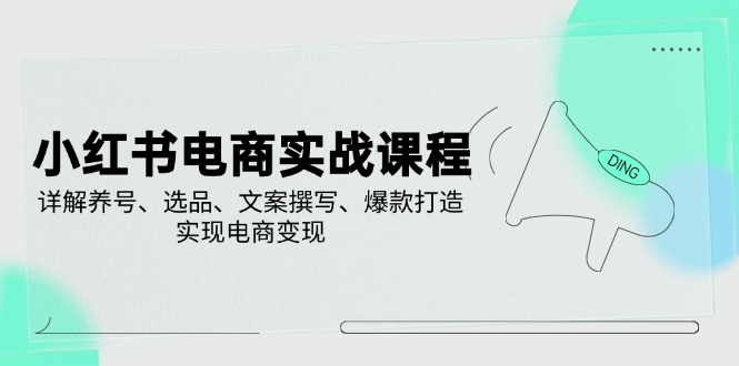 小红书电商实战课程，详解养号、选品、文案撰写、爆款打造，实现电商变现-皮皮网创