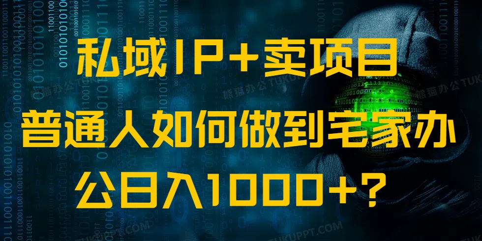 私域IP+卖项目，普通人如何做到宅家办公实现日入1000+-皮皮网创