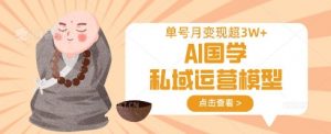 AI国学私域运营模型,单号月变现过W-皮皮网创
