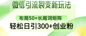 微信引流裂变新玩法：布局50+长尾词矩阵，轻松日引300+创业粉-皮皮网创