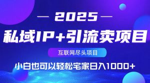 私域IP+引流卖项目,小白也可以做到轻松宅家日入1000+-皮皮网创