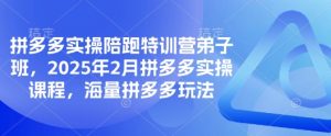 拼多多实操陪跑特训营弟子班,2025年2月拼多多实操课程,海量拼多多玩法-皮皮网创