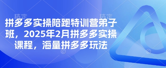 拼多多实操陪跑特训营弟子班，2025年2月拼多多实操课程，海量拼多多玩法-皮皮网创