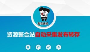 资源整合站自动采集发布转存，解放双手-皮皮网创