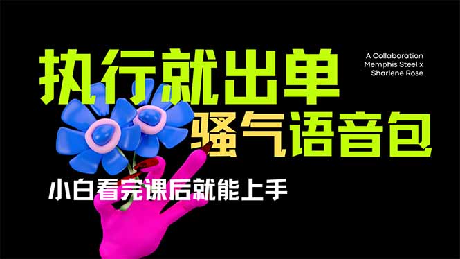 爆火全网的开车导航骚气语音包,只要执行就出单，小白看完课程就能实操…-皮皮网创