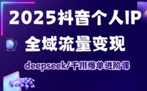 2025抖音个人IP全域流量变现进阶课，deepseek千川爆单进阶课-皮皮网创