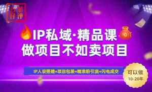 2025年“IP私域·密训精品课”,日赚3000+小白避坑年赚百万,暴力引流...-皮皮网创