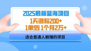 2025蓝海项目 1天涨粉200+ 1单99 1个月2万+-皮皮网创