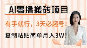 AI零撸搬砖项目玩法,有手就行,3天必起号,复制粘贴简单月入3W!-皮皮网创