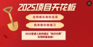 2025项目天花板普通人如何通过知识付费，实现财F自由【揭秘】-皮皮网创
