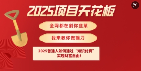 2025项目天花板普通人如何通过知识付费,实现财F自由【揭秘】-皮皮网创