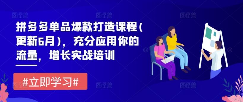 拼多多单品爆款打造课程(更新6月)，充分应用你的流量，增长实战培训-皮皮网创
