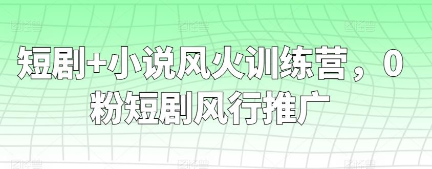 短剧+小说风火训练营，0粉短剧风行推广-皮皮网创