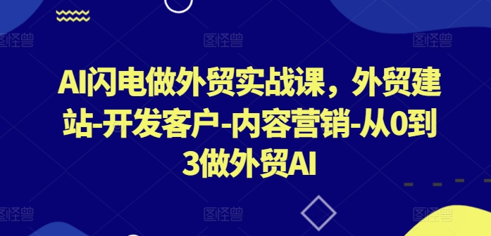 AI闪电做外贸实战课，​外贸建站-开发客户-内容营销-从0到3做外贸AI(更新)-皮皮网创