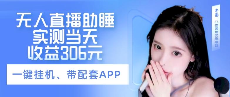 无人直播助睡、实测当天变现306元、一键挂机即可-皮皮网创