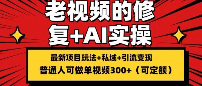 修复老视频的玩法，搬砖+引流的变现(可持久)，单条收益300+【揭秘】-皮皮网创