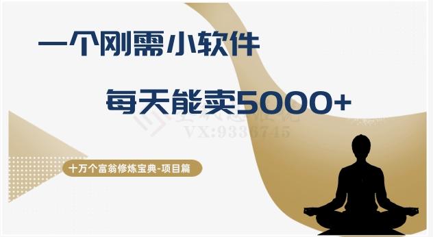 十万个富翁修炼宝典之17.一个刚需小软件，每天能卖5000+-皮皮网创