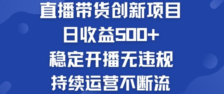 淘宝无人直播带货创新项目：日收益500+  稳定开播无违规  持续运营不断流【揭秘】-皮皮网创