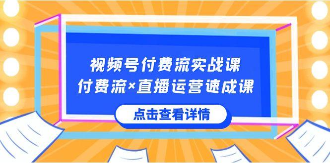 视频号付费流实战课，付费流×直播运营速成课，让你快速掌握视频号核心运营技能-皮皮网创
