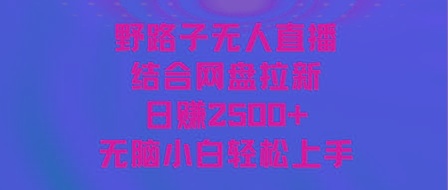 无人直播野路子结合网盘拉新，日赚2500+多平台变现，小白无脑轻松上手操作-皮皮网创