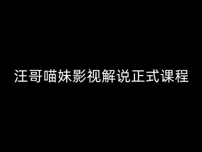 汪哥影视解说正式课程：剪映/PR教学/视解说剪辑5大黄金法则/全流程剪辑7把利器等等-皮皮网创