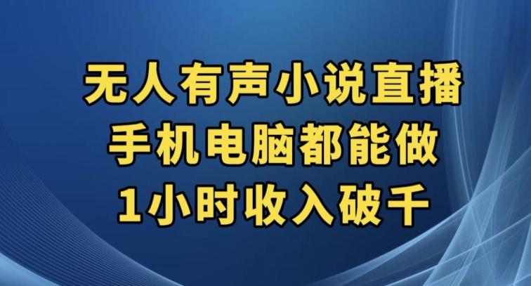 抖音无人有声小说直播，手机电脑都能做，1小时收入破千【揭秘】-皮皮网创