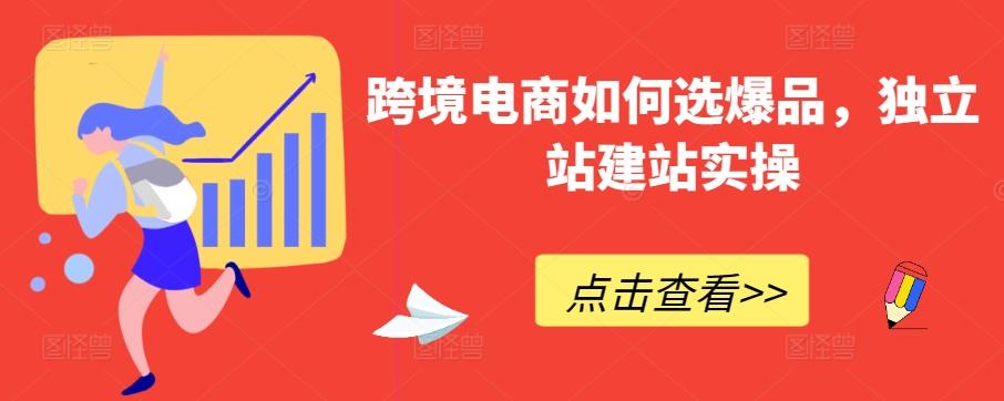 跨境电商如何选爆品，独立站建站实操-皮皮网创