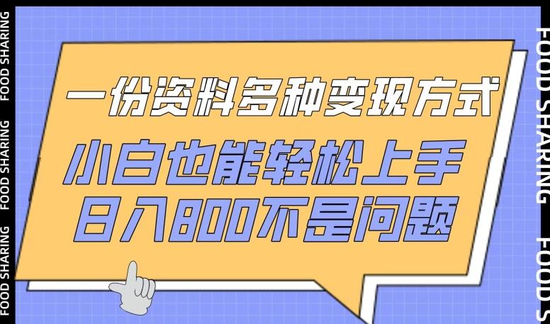 一份资料多种变现方式，小白也能轻松上手，日入800不是问题【揭秘】-皮皮网创