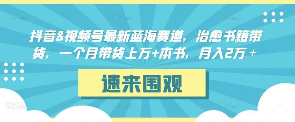 抖音&视频号最新蓝海赛道，治愈书籍带货，一个月带货上万+本书，月入2万＋【揭秘】-皮皮网创