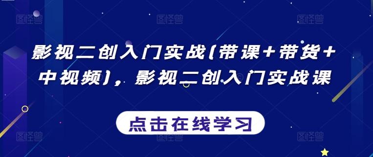 影视二创入门实战(带课+带货+中视频)，影视二创入门实战课-皮皮网创