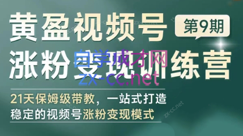 黄盈·视频号涨粉变现训练营-皮皮网创