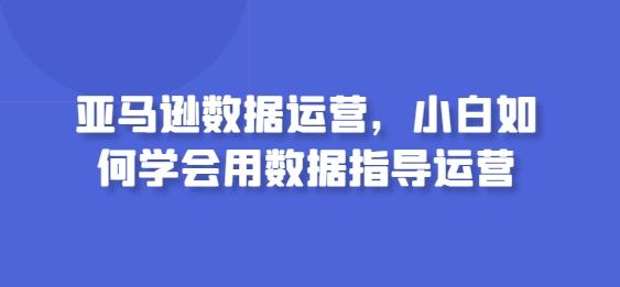 亚马逊数据运营，小白如何学会用数据指导运营-皮皮网创