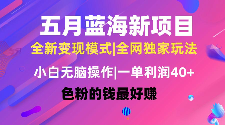 五月蓝海项目全新玩法，小白无脑操作，一天几分钟，矩阵操作，月入4万+-皮皮网创
