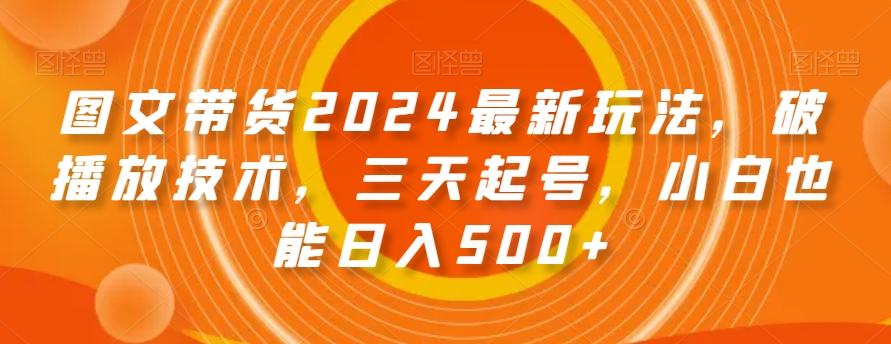 图文带货2024最新玩法，破播放技术，三天起号，小白也能日入500+【揭秘】-皮皮网创