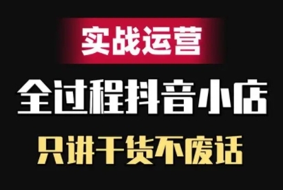 抖音小店精细化实战运营，只讲干货不废话-皮皮网创