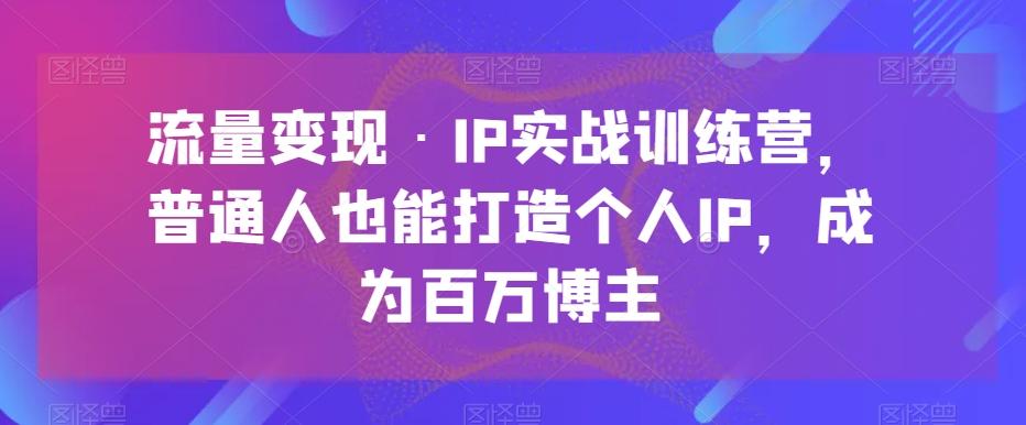 流量变现·IP实战训练营，普通人也能打造个人IP，成为百万博主-皮皮网创