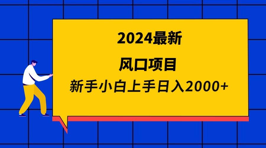(9483期)2024最新风口项目 新手小白日入2000+-皮皮网创
