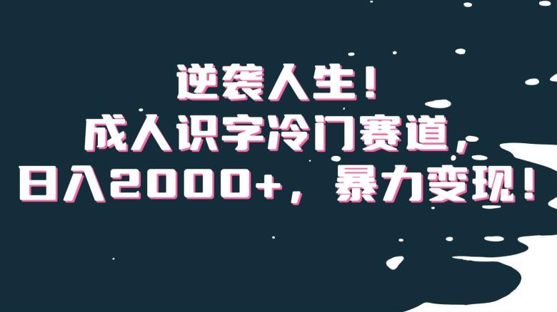 逆袭人生！成人识字冷门赛道，日入2000+，暴力变现！【揭秘】-皮皮网创