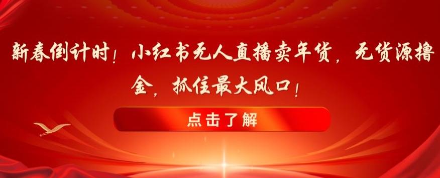 新春倒计时！小红书无人直播卖年货，无货源撸金，抓住最大风口【揭秘】-皮皮网创