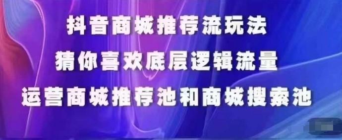 抖音商城运营课程，猜你喜欢入池商城搜索商城推荐人群标签覆盖-皮皮网创