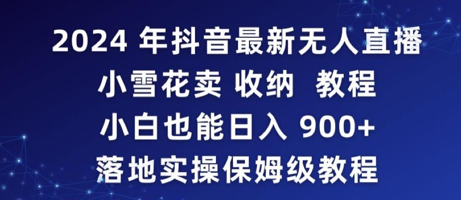 2024年抖音最新无人直播小雪花卖收纳教程，小白也能日入900+落地实操保姆级教程【揭秘】-皮皮网创