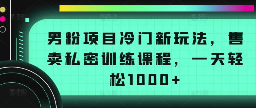 男粉项目冷门新玩法，售卖私密训练课程，一天轻松1000+【揭秘】-皮皮网创