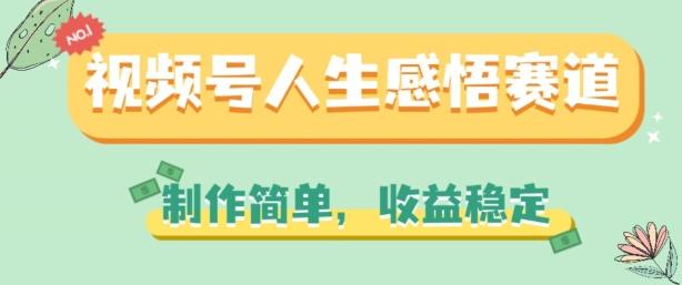视频号人生感悟赛道，制作简单，收益稳定【揭秘】-皮皮网创