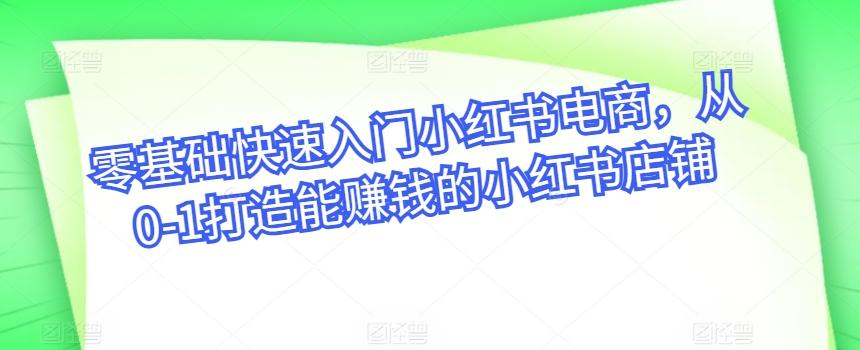 零基础快速入门小红书电商，从0-1打造能赚钱的小红书店铺-皮皮网创